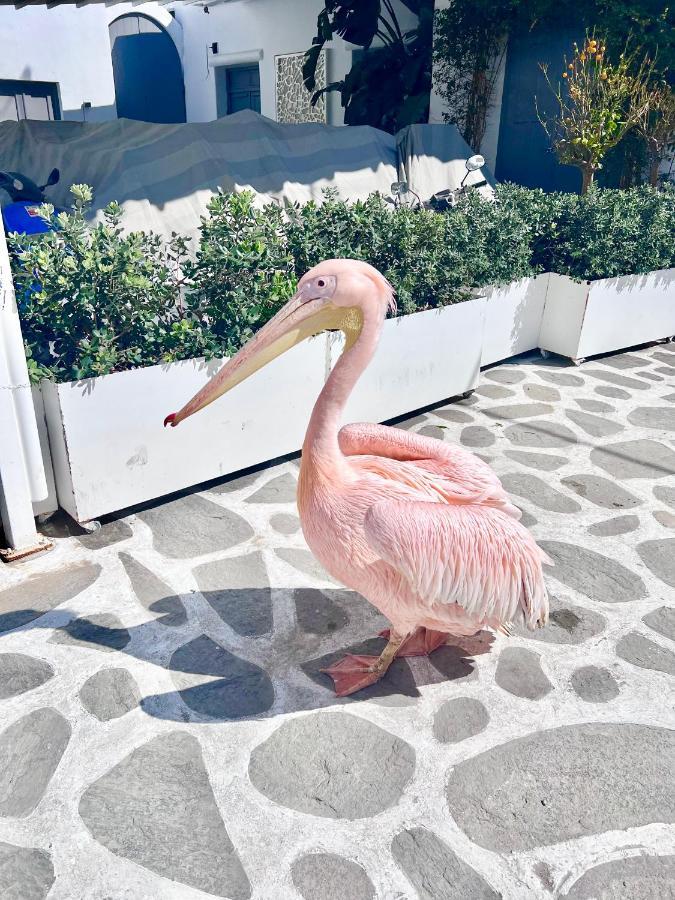 Provis Rentals Suite Next To The Mills In Mykonos Town エクステリア 写真