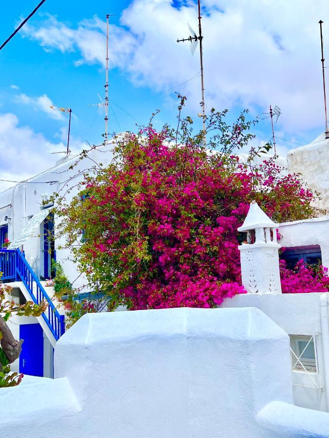 Provis Rentals Suite Next To The Mills In Mykonos Town エクステリア 写真